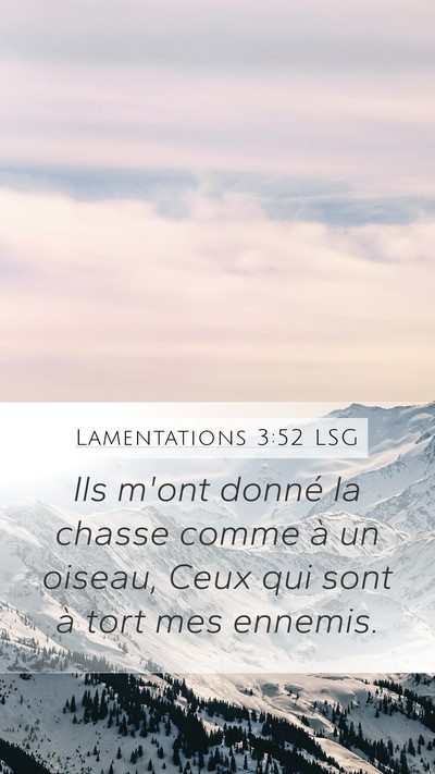Lamentations 3:52 LSG Bible Verse Image