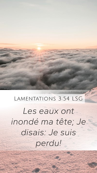 Lamentations 3:54 LSG Bible Verse Image