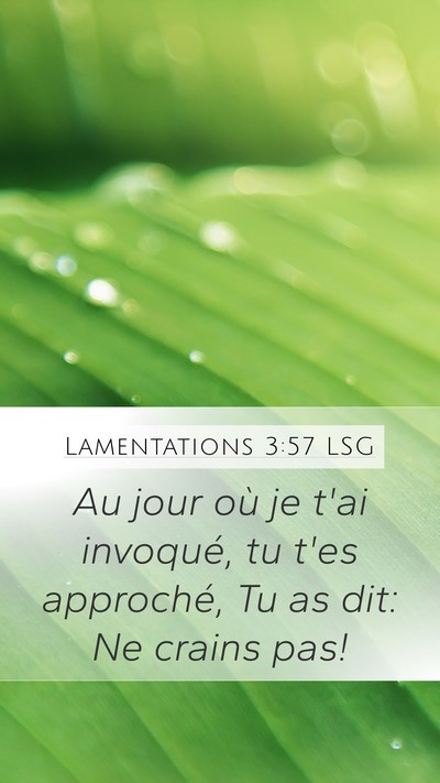 Lamentations 3:57 LSG Mobile Phone Wallpaper - Au jour où je t'ai invoqué, tu t'es approché, - Mobile Bible Verse Wallpaper