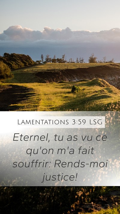 Lamentations 3:59 LSG Bible Verse Image