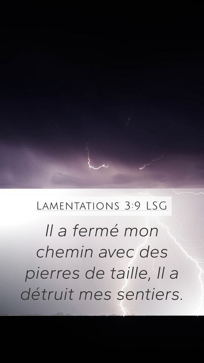 Lamentations 3:9 LSG Bible Verse Image