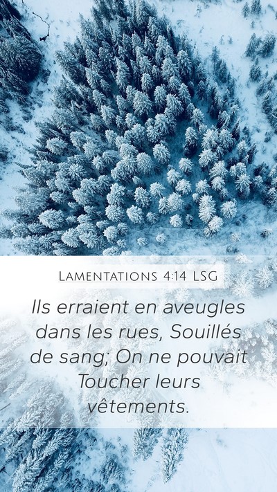 Lamentations 4:14 LSG Bible Verse Image