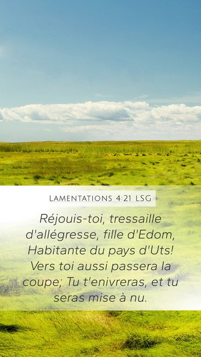 Lamentations 4:21 LSG Bible Verse Image