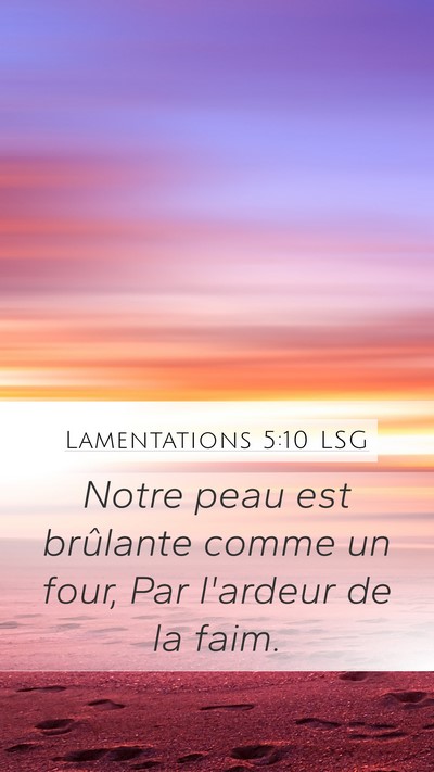 Lamentations 5:10 LSG Bible Verse Image