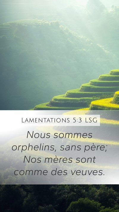 Lamentations 5:3 LSG Bible Verse Image