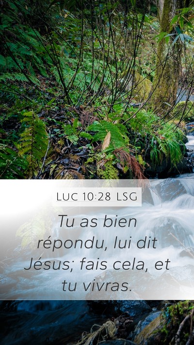 Luc 10:28 LSG Mobile Phone Wallpaper - Tu as bien répondu, lui dit Jésus; fais cela, - Mobile Bible Verse Wallpaper