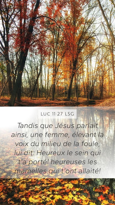 Luc 11:27 LSG Bible Verse Image