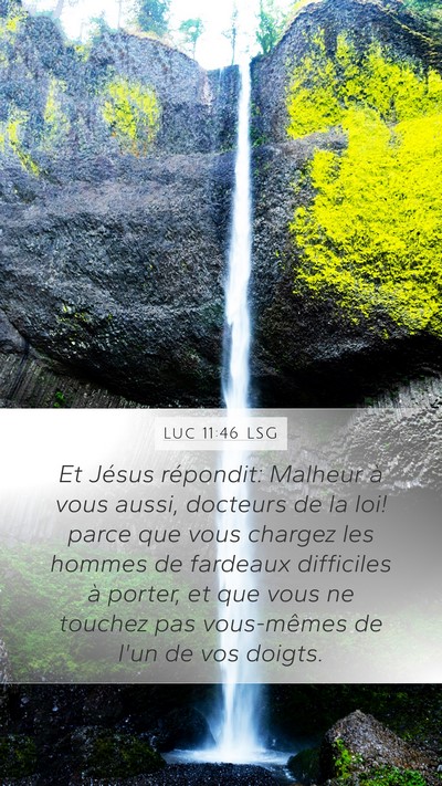 Luc 11:46 LSG Bible Verse Image