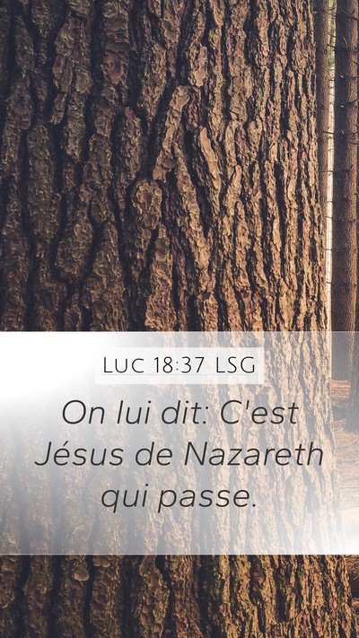 Luc 18:37 LSG Mobile Phone Wallpaper - On lui dit: C'est Jésus de Nazareth qui - Mobile Bible Verse Wallpaper