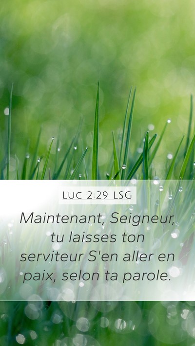 Luc 2:29 LSG Bible Verse Image