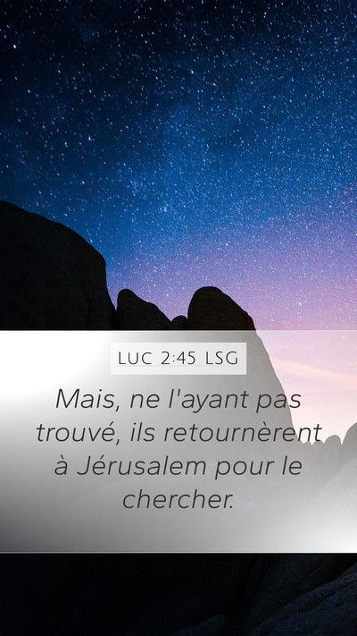 Luc 2:45 LSG Mobile Phone Wallpaper - Mais, ne l'ayant pas trouvé, ils retournèrent - Mobile Bible Verse Wallpaper