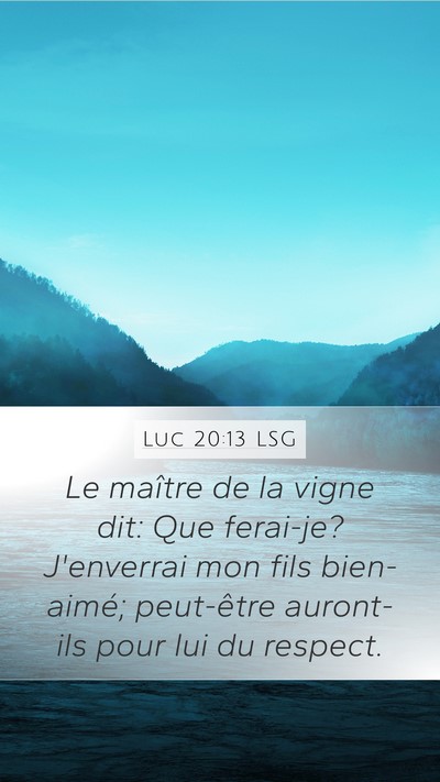 Luc 20:13 LSG Bible Verse Image