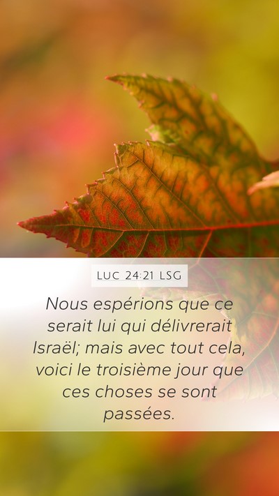 Luc 24:21 LSG Bible Verse Image