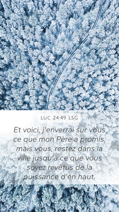 Luc 24:49 LSG Bible Verse Image