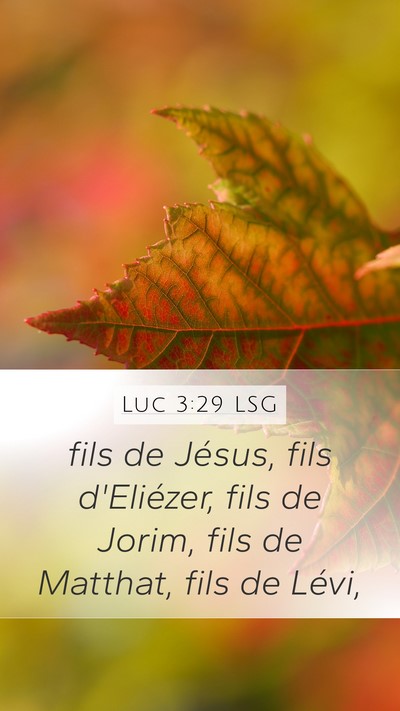 Luc 3:29 LSG Mobile Phone Wallpaper - fils de Jésus, fils d'Eliézer, fils de Jorim, - Mobile Bible Verse Wallpaper