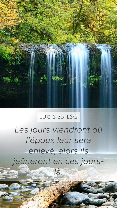Luc 5:35 LSG Bible Verse Image