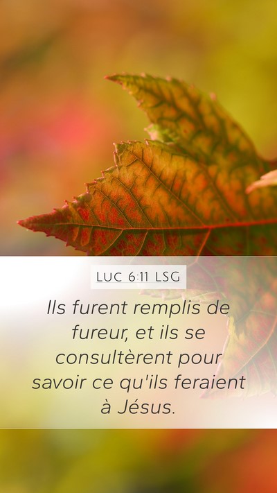 Luc 6:11 LSG Bible Verse Image