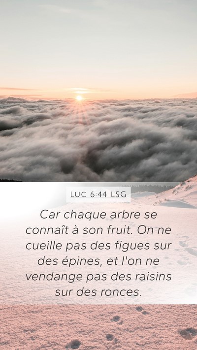 Luc 6:44 LSG Bible Verse Image
