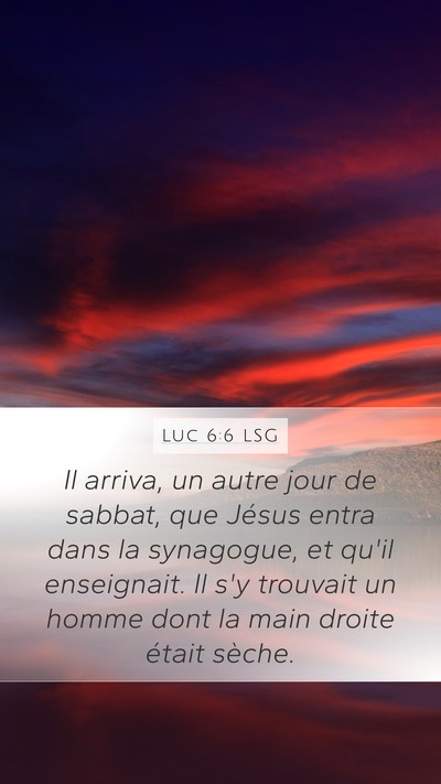 Luc 6:6 LSG Bible Verse Image