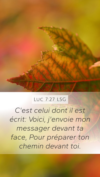 Luc 7:27 LSG Bible Verse Image