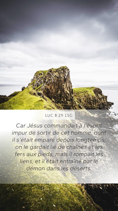 Luc 8:29 LSG Bible Verse Image
