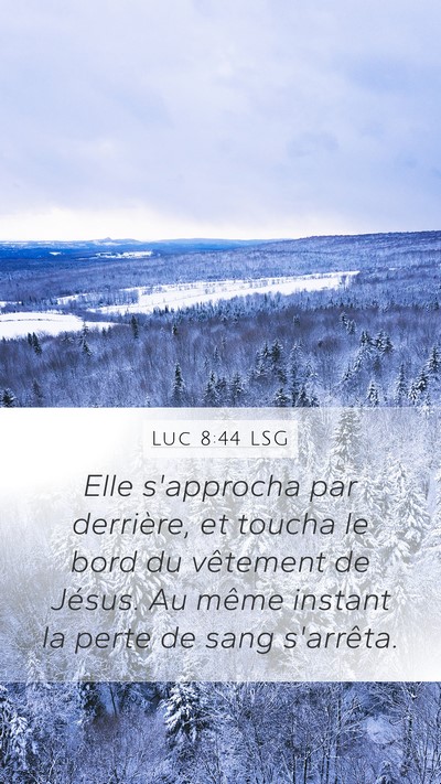Luc 8:44 LSG Bible Verse Image