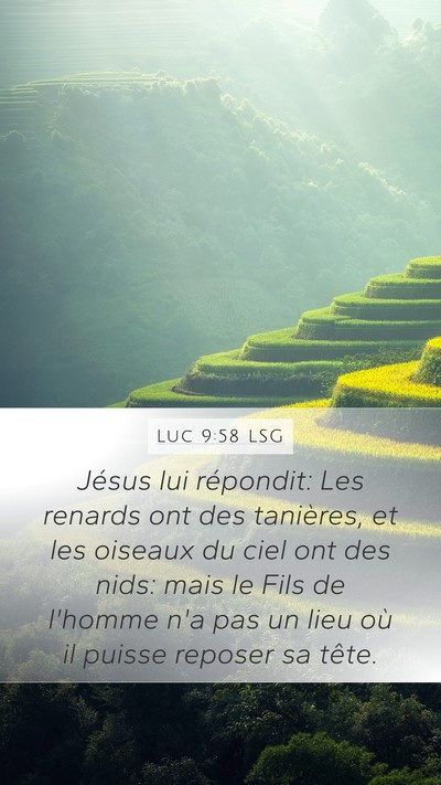 Luc 9:58 LSG Bible Verse Image