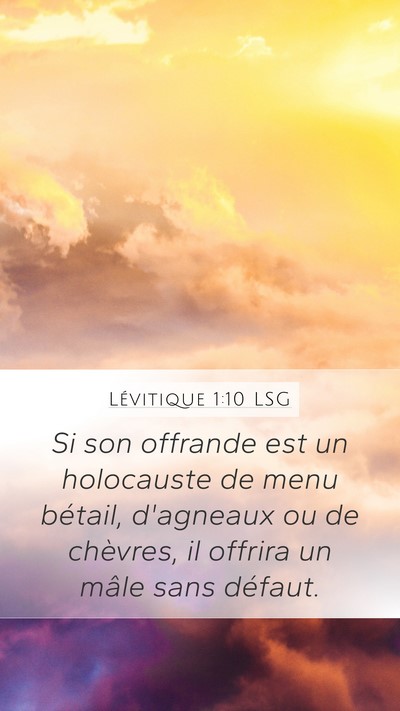Lévitique 1:10 LSG Bible Verse Image