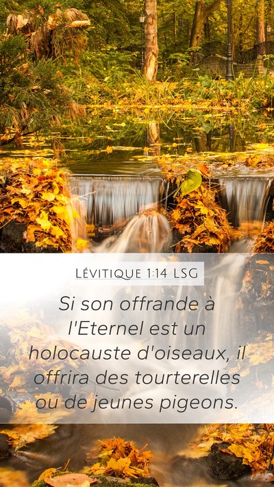 Lévitique 1:14 LSG Bible Verse Image