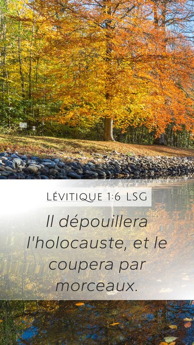 Lévitique 1:6 LSG Bible Verse Image