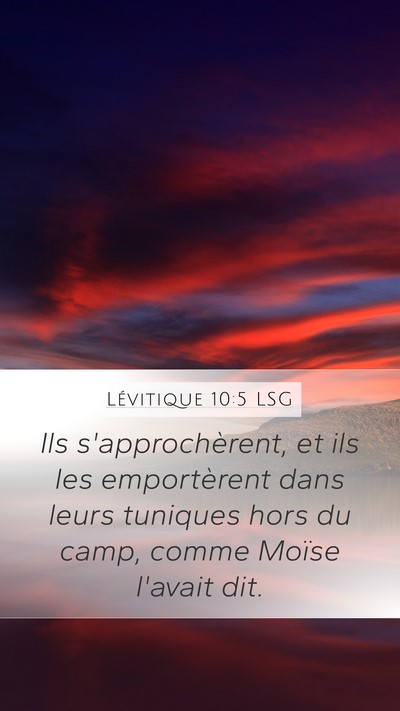 Lévitique 10:5 LSG Bible Verse Image