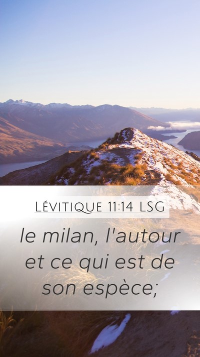 Lévitique 11:14 LSG Mobile Phone Wallpaper - le milan, l'autour et ce qui est de son - Mobile Bible Verse Wallpaper