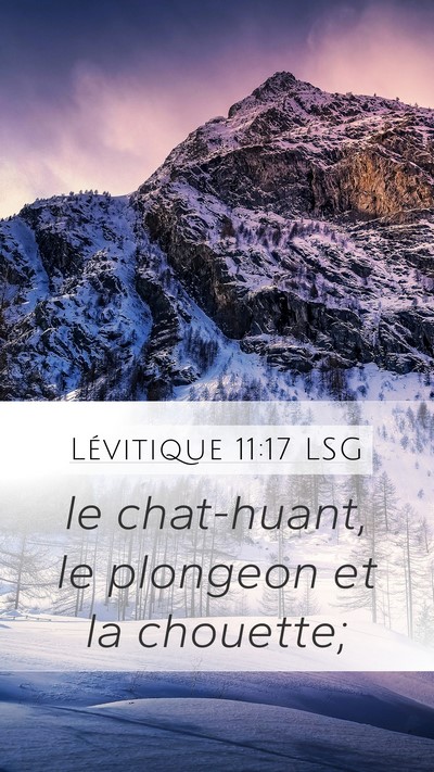 Lévitique 11:17 LSG Mobile Phone Wallpaper - le chat-huant, le plongeon et la - Mobile Bible Verse Wallpaper