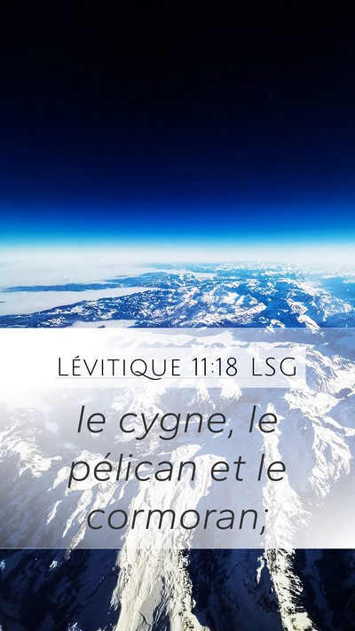 Lévitique 11:18 LSG Mobile Phone Wallpaper - le cygne, le pélican et le - Mobile Bible Verse Wallpaper