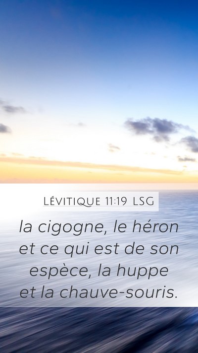 Lévitique 11:19 LSG Bible Verse Image