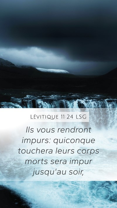 Lévitique 11:24 LSG Bible Verse Image
