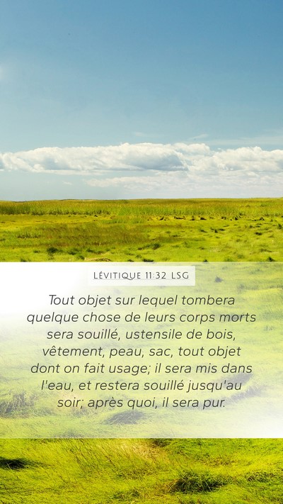 Lévitique 11:32 LSG Bible Verse Image