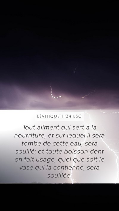 Lévitique 11:34 LSG Mobile Phone Wallpaper - Tout aliment qui sert à la nourriture, et sur - Mobile Bible Verse Wallpaper