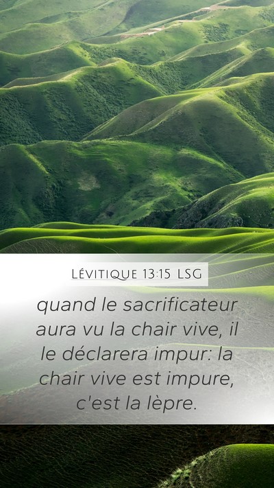 Lévitique 13:15 LSG Mobile Phone Wallpaper - quand le sacrificateur aura vu la chair vive, il - Mobile Bible Verse Wallpaper
