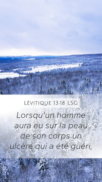 Lévitique 13:18 LSG Mobile Phone Wallpaper - Lorsqu'un homme aura eu sur la peau de son corps - Mobile Bible Verse Wallpaper
