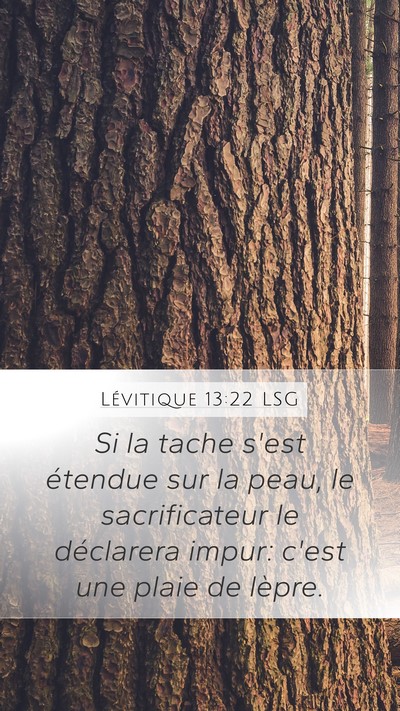 Lévitique 13:22 LSG Mobile Phone Wallpaper - Si la tache s'est étendue sur la peau, le - Mobile Bible Verse Wallpaper
