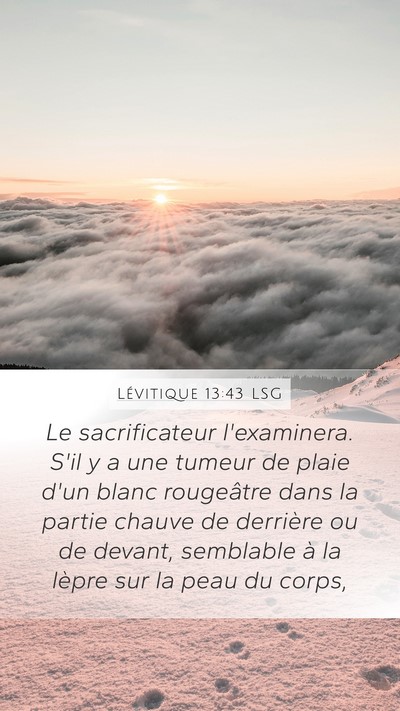 Lévitique 13:43 LSG Mobile Phone Wallpaper - Le sacrificateur l'examinera. S'il y a une tumeur - Mobile Bible Verse Wallpaper