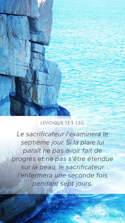 Lévitique 13:5 LSG Mobile Phone Wallpaper - Le sacrificateur l'examinera le septième jour. - Mobile Bible Verse Wallpaper