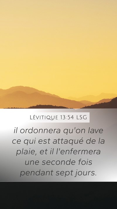 Lévitique 13:54 LSG Mobile Phone Wallpaper - il ordonnera qu'on lave ce qui est attaqué de la - Mobile Bible Verse Wallpaper