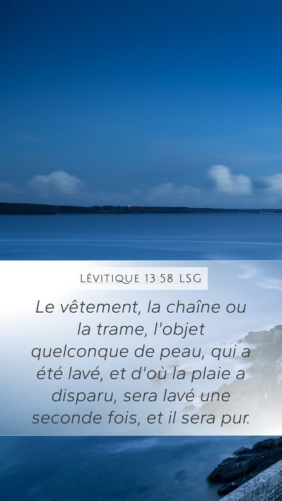 Lévitique 13:58 LSG Mobile Phone Wallpaper - Le vêtement, la chaîne ou la trame, l'objet - Mobile Bible Verse Wallpaper