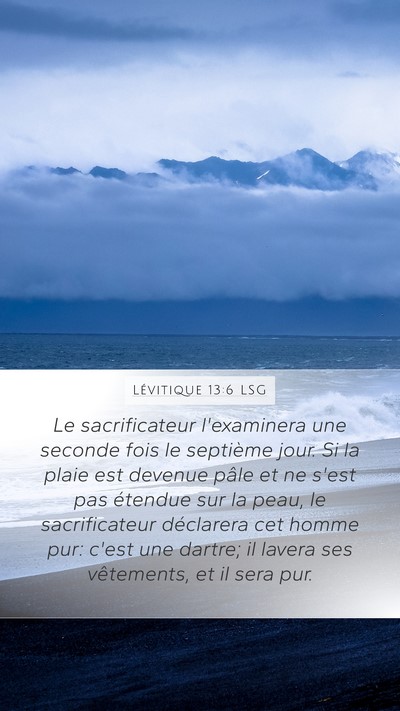 Lévitique 13:6 LSG Mobile Phone Wallpaper - Le sacrificateur l'examinera une seconde fois le - Mobile Bible Verse Wallpaper