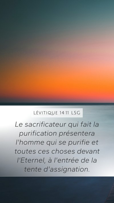 Lévitique 14:11 LSG Mobile Phone Wallpaper - Le sacrificateur qui fait la purification - Mobile Bible Verse Wallpaper