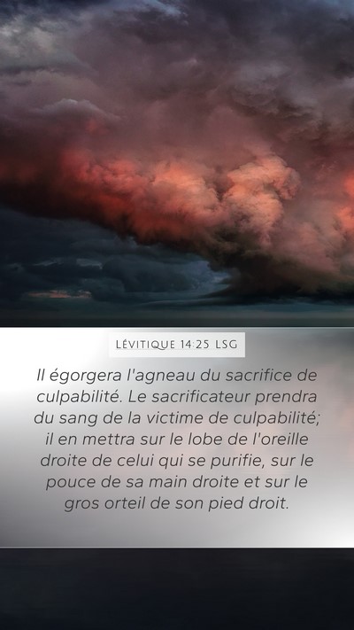 Lévitique 14:25 LSG Bible Verse Image
