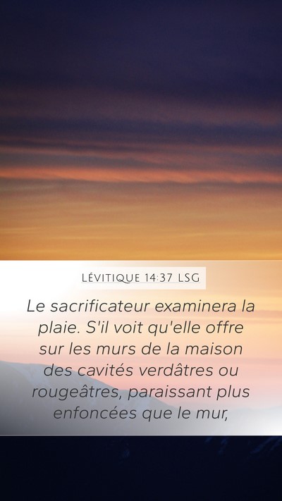 Lévitique 14:37 LSG Mobile Phone Wallpaper - Le sacrificateur examinera la plaie. S'il voit - Mobile Bible Verse Wallpaper