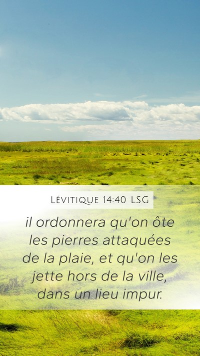 Lévitique 14:40 LSG Bible Verse Image